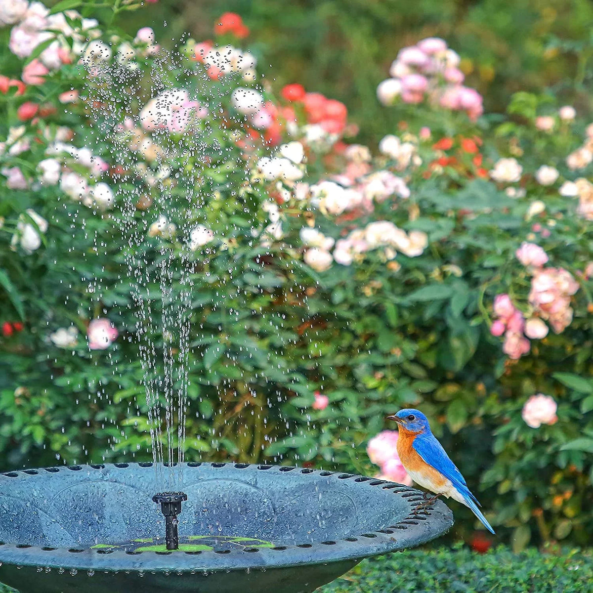 AISITIN 3W Solar Fountain Pump Solar Water Pump, Floating Fountain Built-in 1200mAh Battery, with 6 Nozzles, for Bird Bath, Fish Tank, Pond or Garden Decoration Solar Aerator Pump (Green)