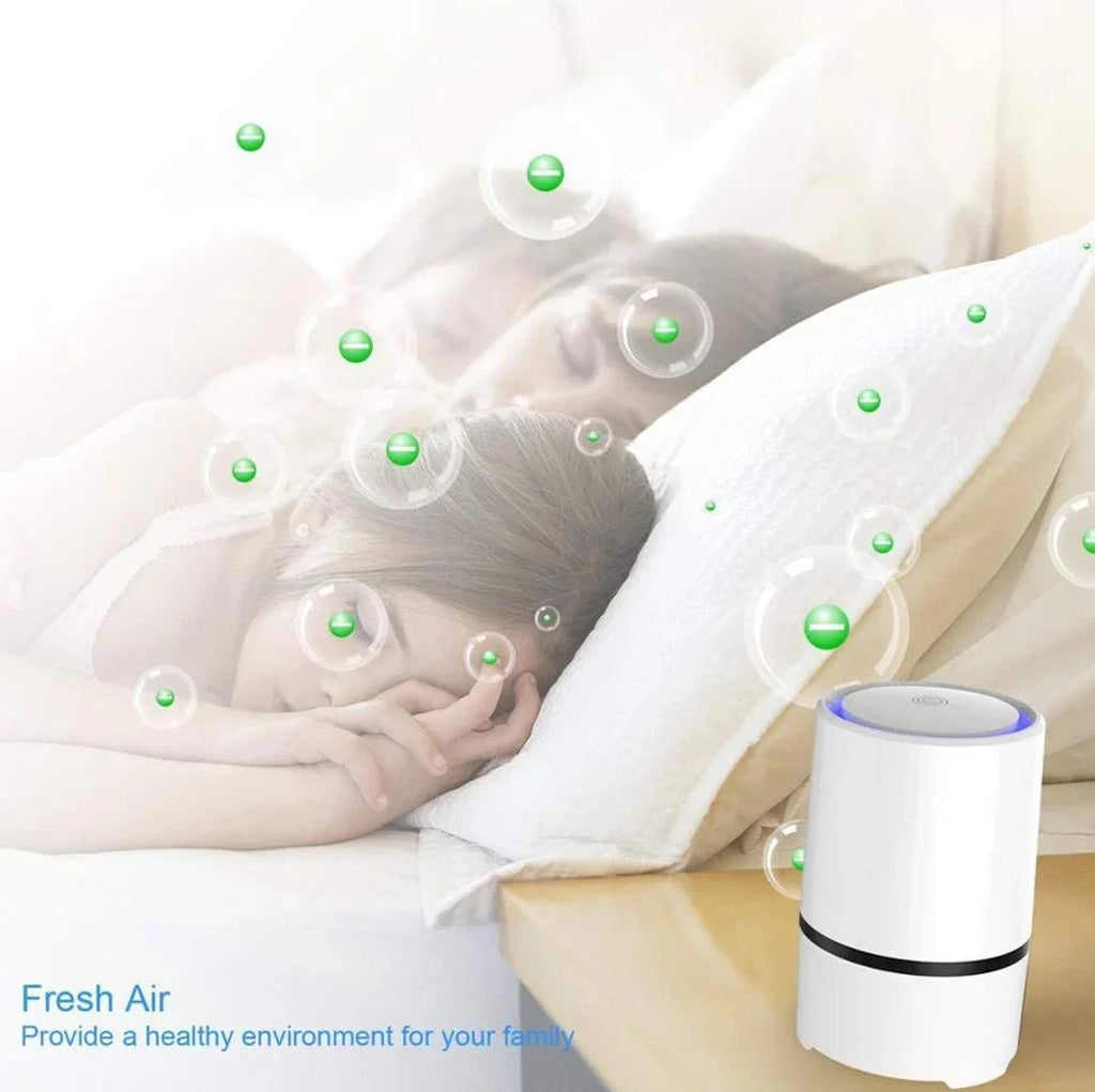 Purifier For Home True HEPA Filter And Activated Carbon Filter Household Odours