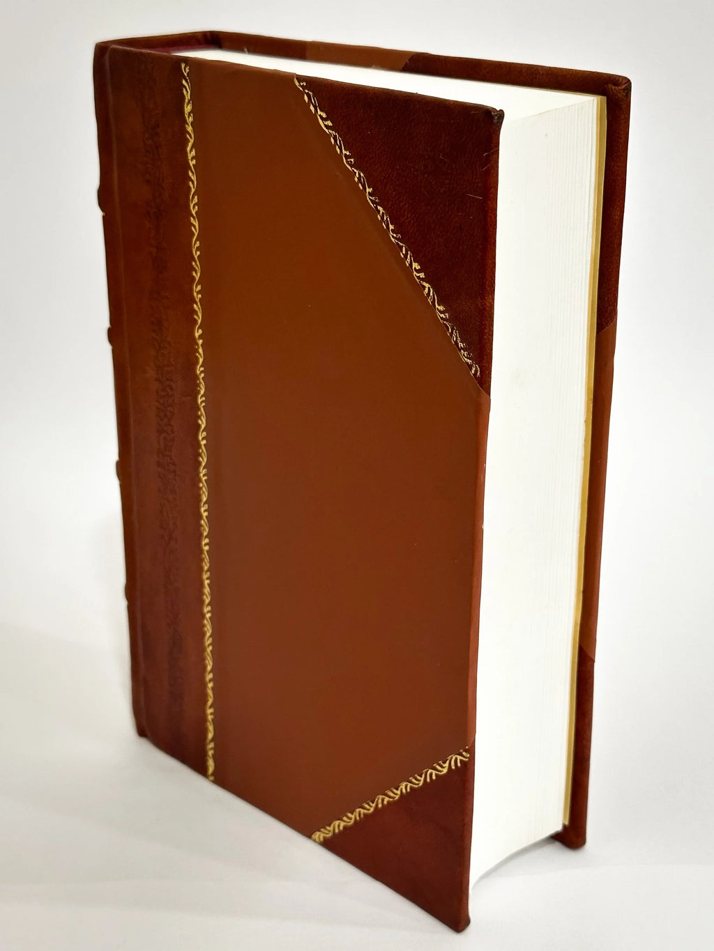 Tableaux Anciens Du MuseE Des Beaux-Arts De Budapest / SzePmuVeSzeti MuZeum (Hungary),TeRey, GaBor (1906) (1906) [Leather Bound]