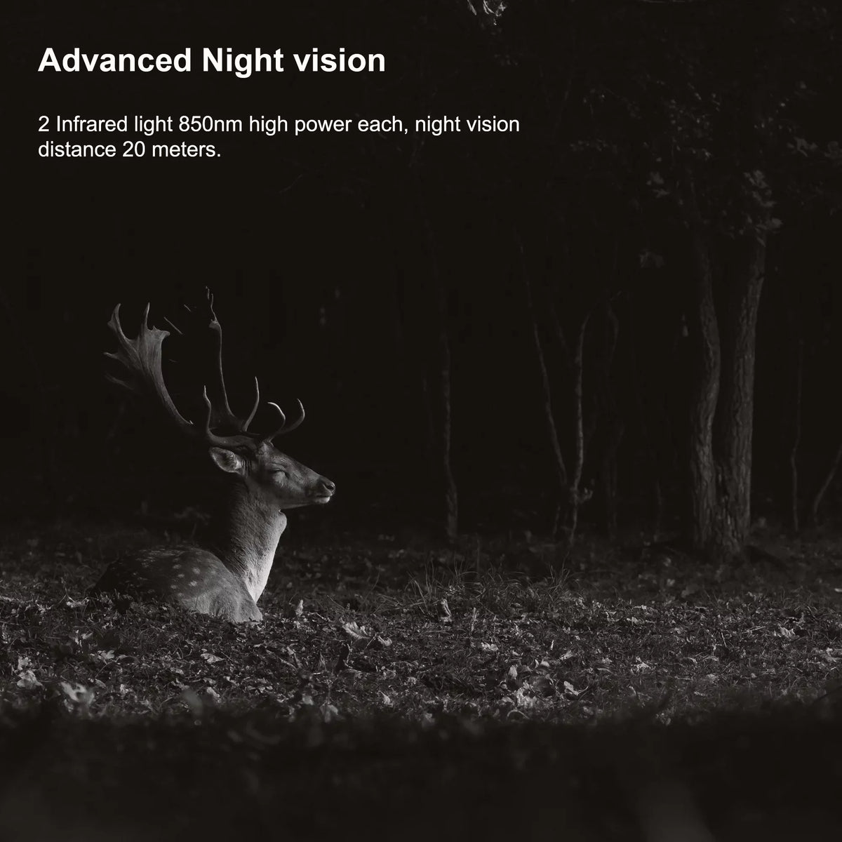 Rexing H2 20MP 4K Wi-Fi Trail Surveillance Camera for Outdoor, Hunting Cam W/ CMOS Motion Sensor