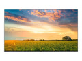 LG 50UR577H9UA - 50" Diagonal Class UR577H9 Series LED-backlit LCD TV - hotel / hospitality - Pro:Centric with Integrated Pro:Idiom - Smart TV - webOS - 4K UHD (2160p) 3840 x 2160 - HDR - Nano Cell Display, Edge LED