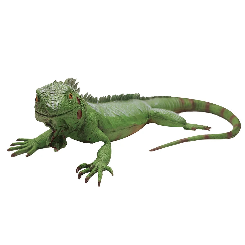 Life Size Green Iguana Reptile XL Foam Filled Rubber Lizard Large Bearded Dragon Giant Movie Prop