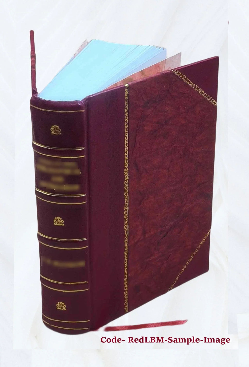 Doctrine of the Manifestations of the Son of God Under the Economy of the Old Testament 1852 [Leather Bound]