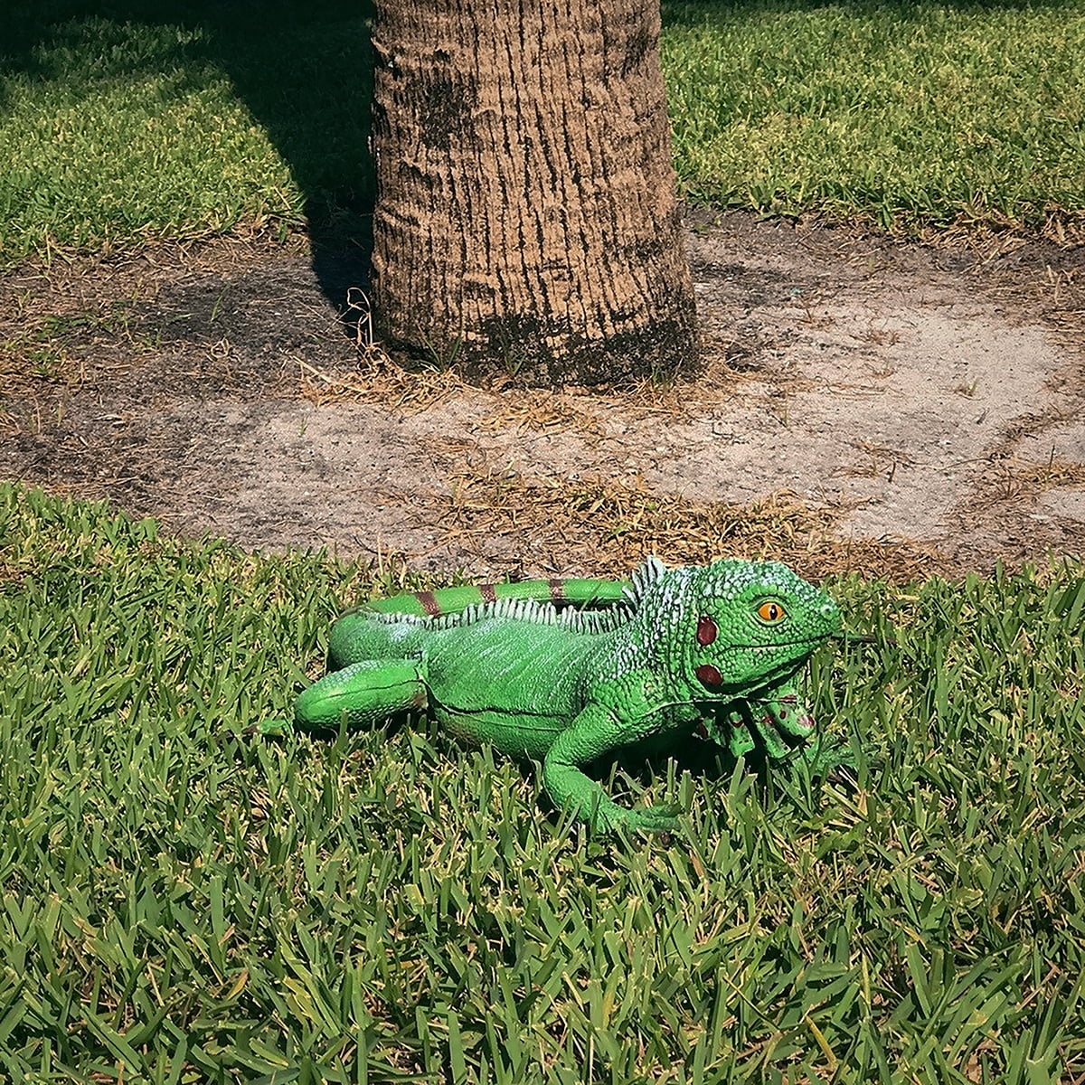 Life Size Green Iguana Reptile XL Foam Filled Rubber Lizard Large Bearded Dragon Giant Movie Prop
