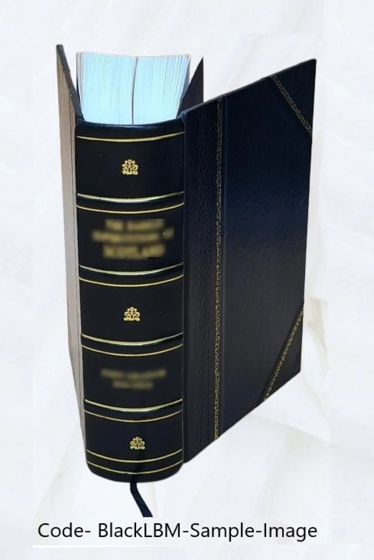 Buletinul. Volume v.05 yr.1926 1926 [Leather Bound]